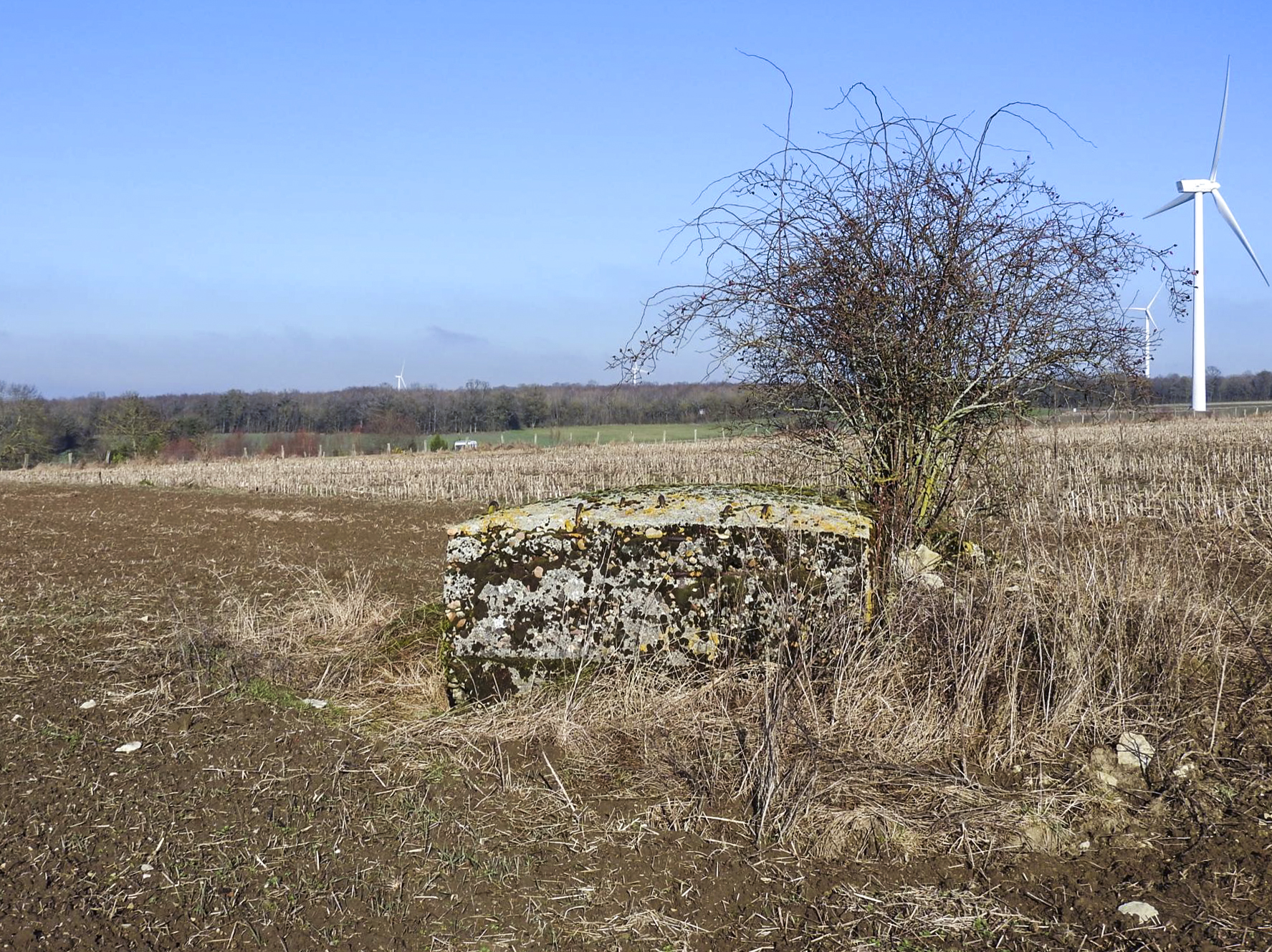 Ligne Maginot - SCHLANGENSTUCK 2 - (Blockhaus pour arme infanterie) - Le blockhaus pour FM. - STENGER Mathieu