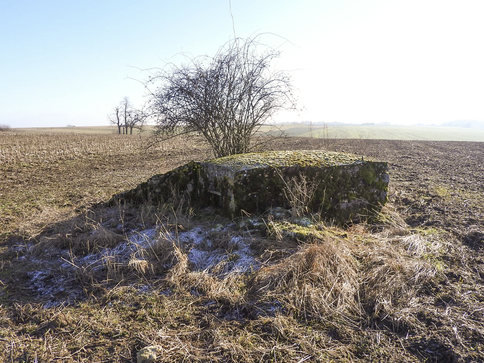 Ligne Maginot - SCHLANGENSTUCK 2 - (Blockhaus pour arme infanterie) - La façade de tir vers le nord. - STENGER Mathieu