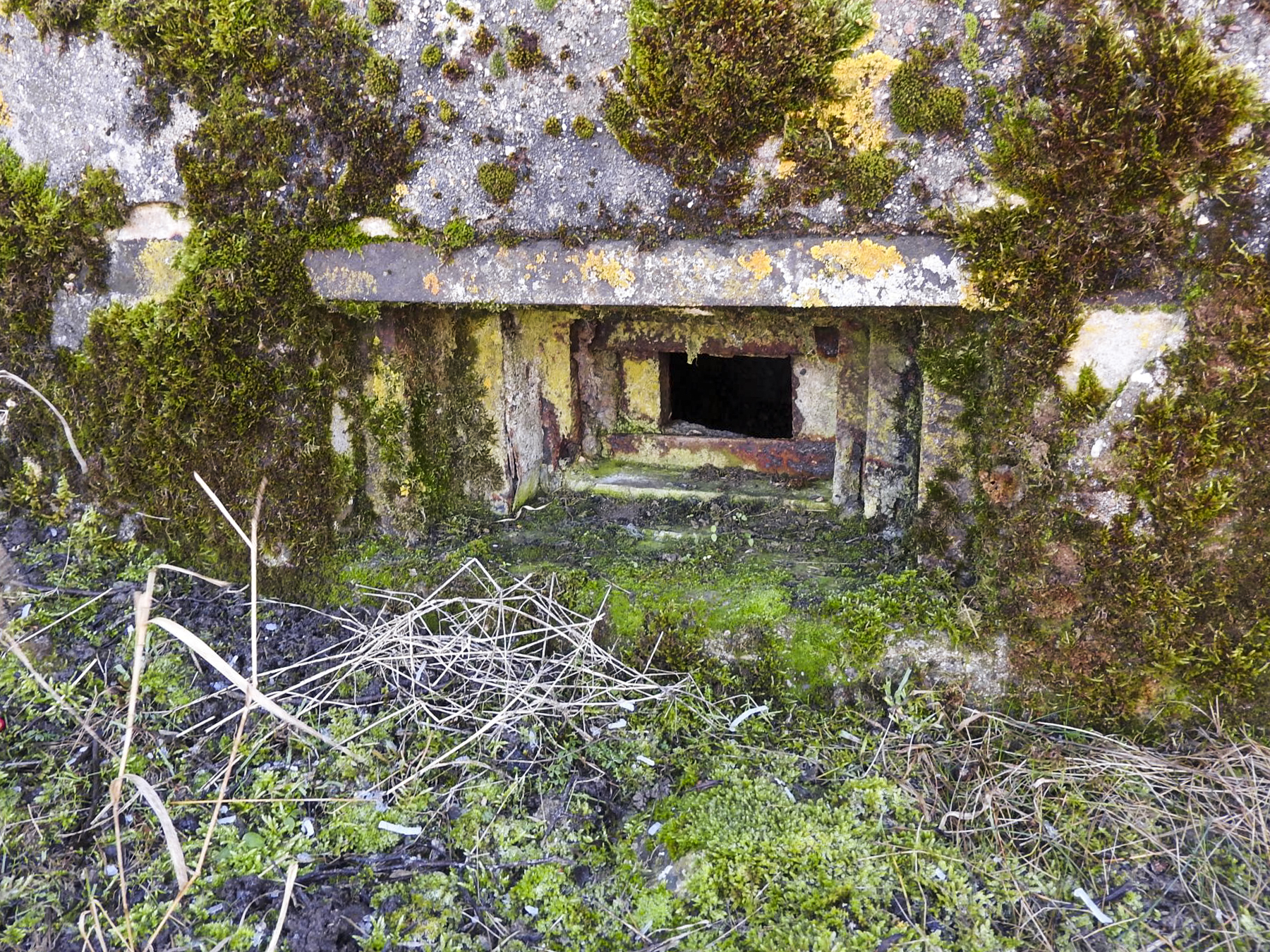 Ligne Maginot - SCHLANGENSTUCK 2 - (Blockhaus pour arme infanterie) - Le créneau pour un FM. - STENGER Mathieu