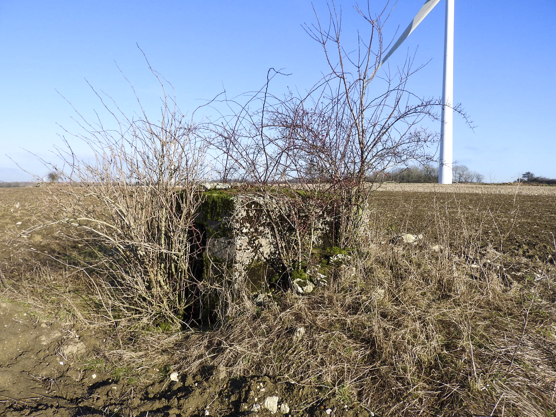 Ligne Maginot - SCHLANGENSTUCK 1 - (Blockhaus pour arme infanterie) - La façade arrière. - STENGER Mathieu