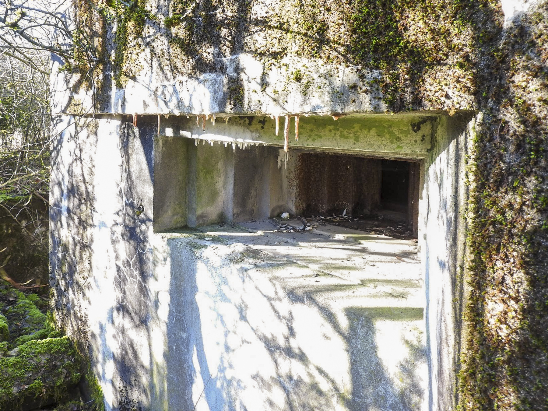 Ligne Maginot - AB29 - WITZ 2 - (Blockhaus pour canon) - Le créneau mitrailleuse. - STENGER Mathieu