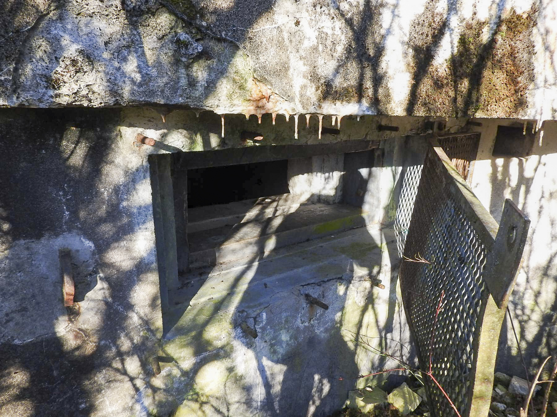 Ligne Maginot - AB29 - WITZ 2 - (Blockhaus pour canon) - L'embrasure du canon anti-char. - STENGER Mathieu
