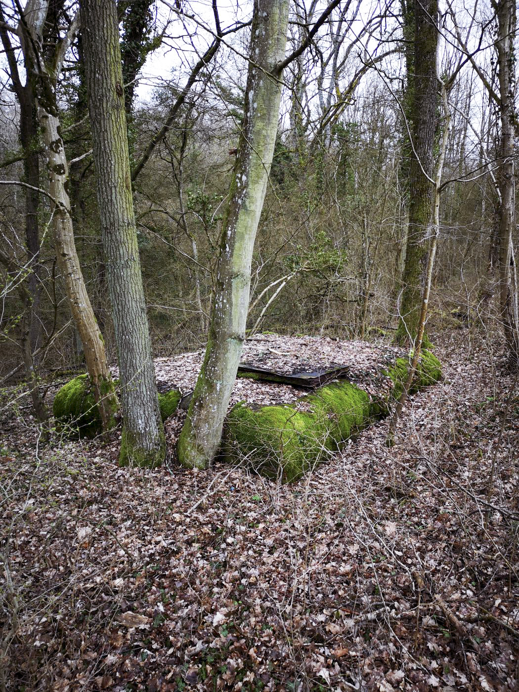 Ligne Maginot - 81M - (Chambre de coupure) - La chambre de coupure est plutôt visible de l'extérieur en hiver - DK_Antoine4
