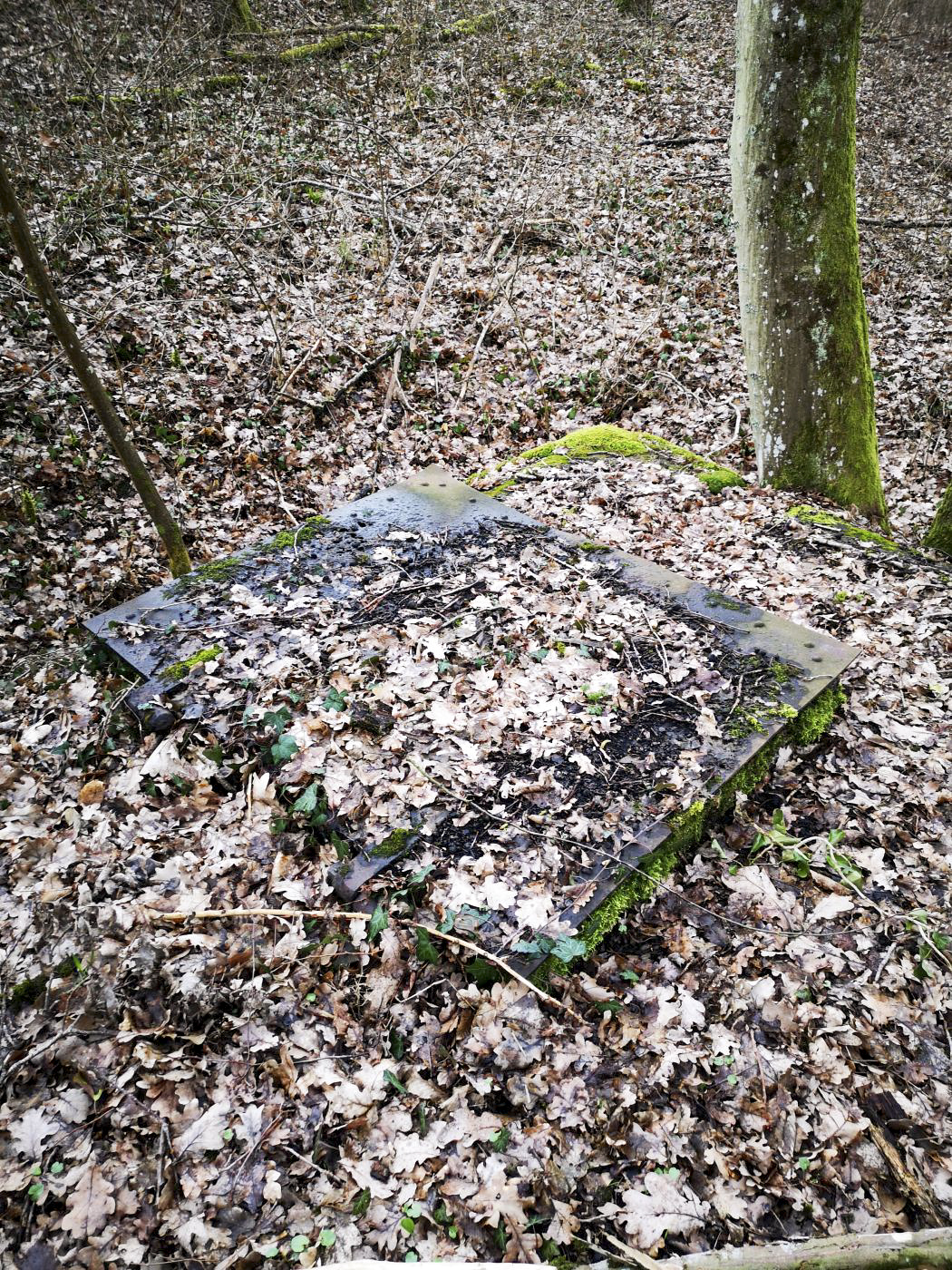 Ligne Maginot - 81M - (Chambre de coupure) - La trappe recouverte par la végétation - DK_Antoine4