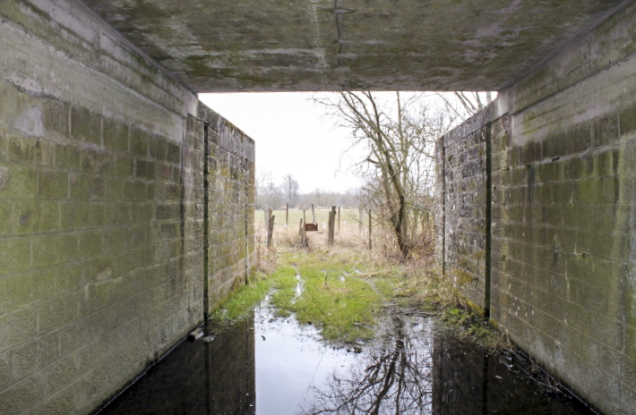 Ligne Maginot - HERBITZHEIM VOIE FERRéE SUD - (Inondation défensive) - Passage sous la voie ferrée - Christian LENHARD