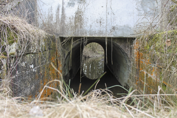 Ligne Maginot - HERBITZHEIM VOIE FERRéE SUD OUEST - (Inondation défensive) - Pertuis - Christian LENHARD
