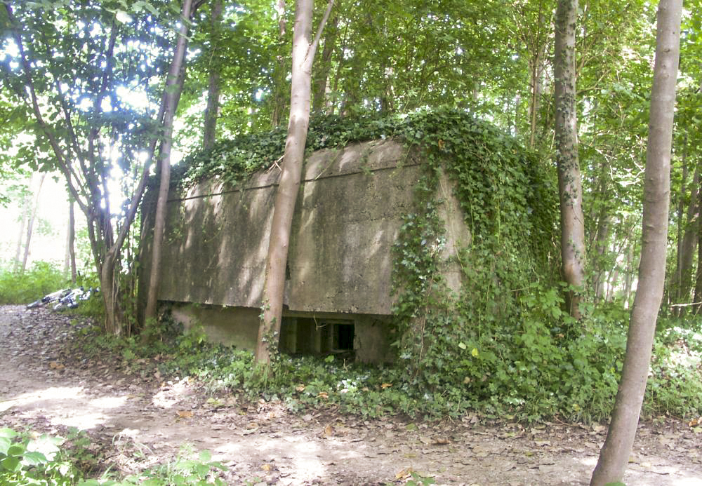 Ligne Maginot - HECKENWALD Sud (Blockhaus pour arme infanterie) -  - Pascal LAMBERT