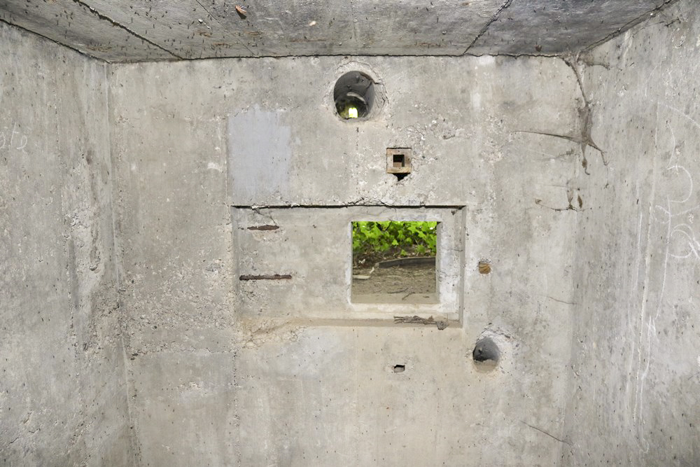 Ligne Maginot - HECKENWALD SUD - (Blockhaus pour arme infanterie) -  - Alain Perouffe
