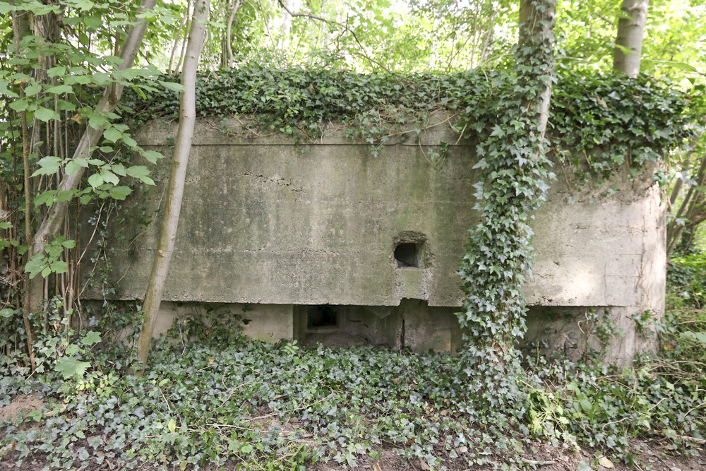 Ligne Maginot - HECKENWALD SUD - (Blockhaus pour arme infanterie) -  - Alain Perouffe