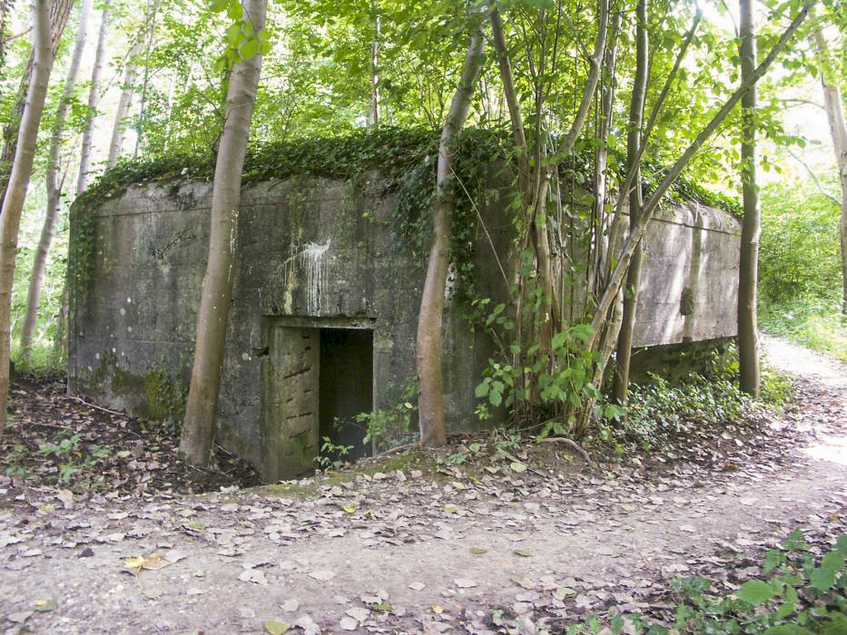 Ligne Maginot - HECKENWALD Sud (Blockhaus pour arme infanterie) - Vue cote arrière de l'entrée et du créneau non obturé - Pascal LAMBERT