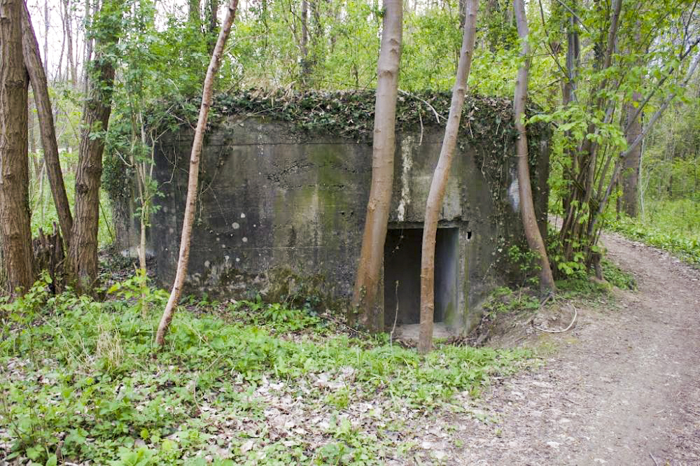 Ligne Maginot - HECKENWALD Sud (Blockhaus pour arme infanterie) -  - Aurélien EBEL