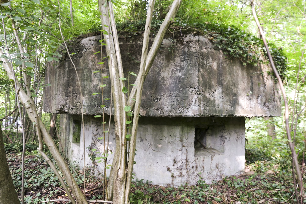 Ligne Maginot - HECKENWALD NORD - (Blockhaus pour arme infanterie) -  - Alain Perouffe