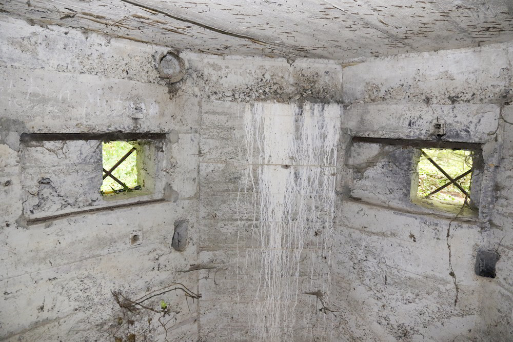 Ligne Maginot - HECKENWALD NORD - (Blockhaus pour arme infanterie) -  - Alain Perouffe