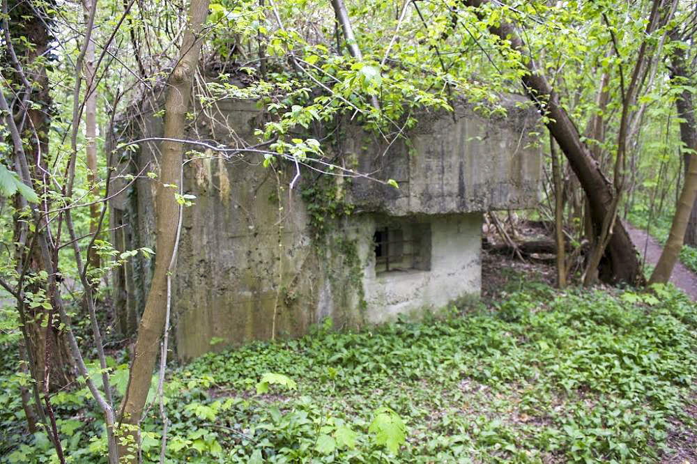 Ligne Maginot - HECKENWALD Nord (Blockhaus pour arme infanterie) -  - Aurélien EBEL