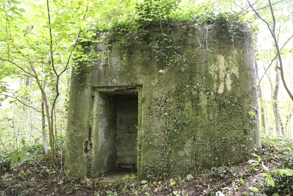 Ligne Maginot - HECKENWALD NORD - (Blockhaus pour arme infanterie) -  - Alain Perouffe