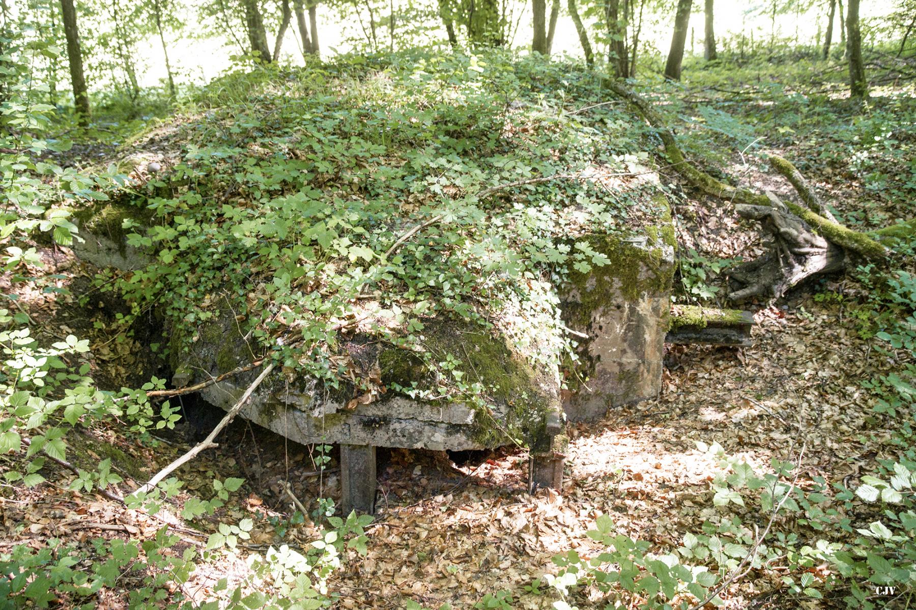 Ligne Maginot - HART CENTRE 3 - (Observatoire indeterminé) - L'entrée - Lia VERMEULEN