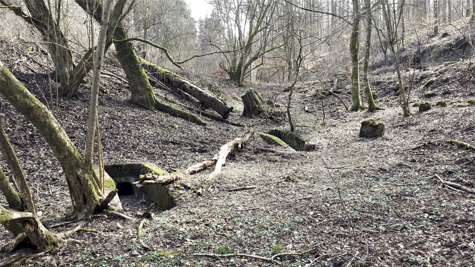 Ligne Maginot - LEMBACH (CASERNEMENT DU PO DE..) - (Casernement) - Rampe d'accès  - Gregory Fuchs