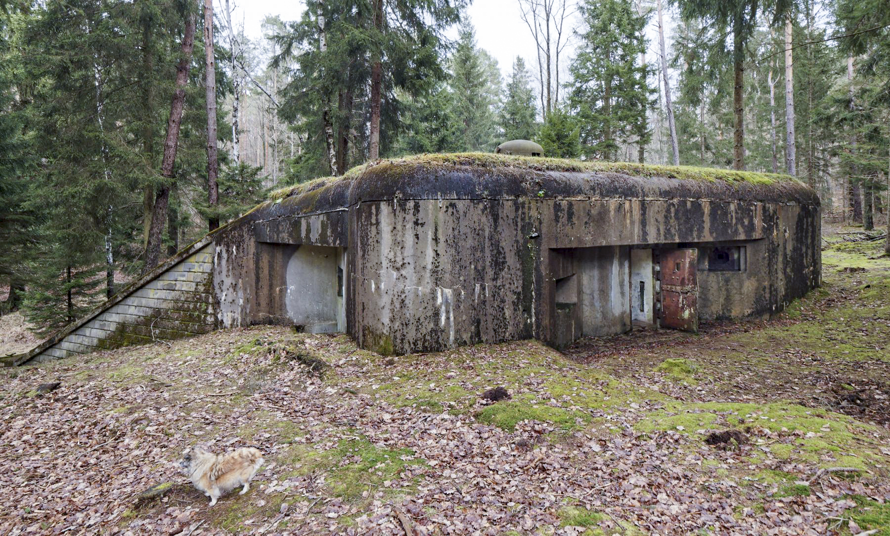 Ligne Maginot - BIESENBERG 1 - (Blockhaus pour arme infanterie) - Le blockhaus - Jürgen Morr