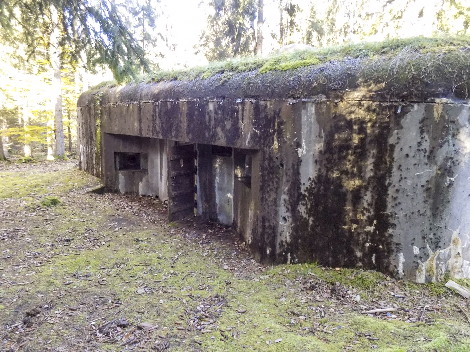 Ligne Maginot - BIESENBERG 1 - (Blockhaus pour arme infanterie) - Vue d'ensemble - luc.j