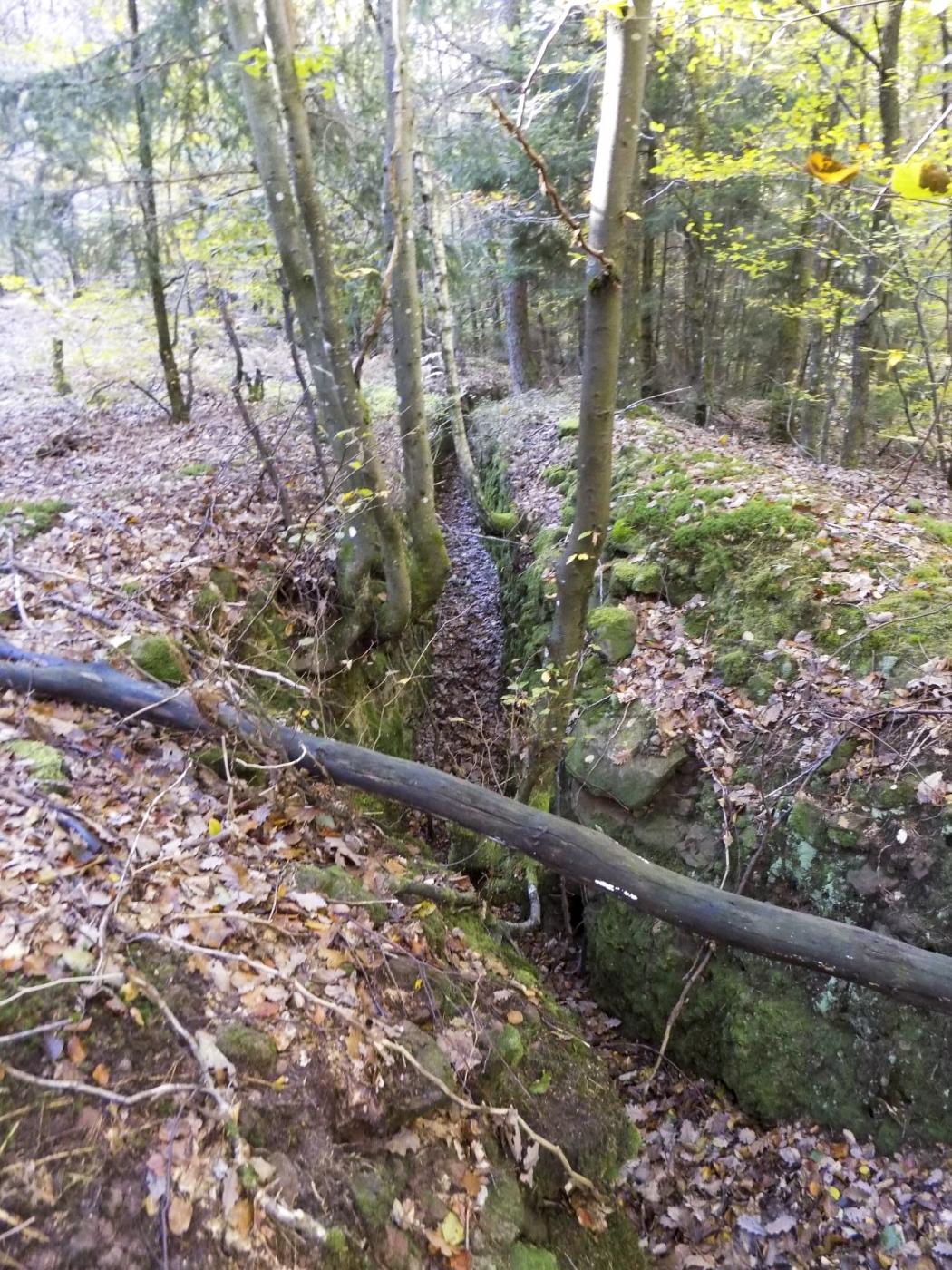 Ligne Maginot - BIESENBERG 1 - (Blockhaus pour arme infanterie) - Tranchée à l'arrière du blockhaus - luc.j