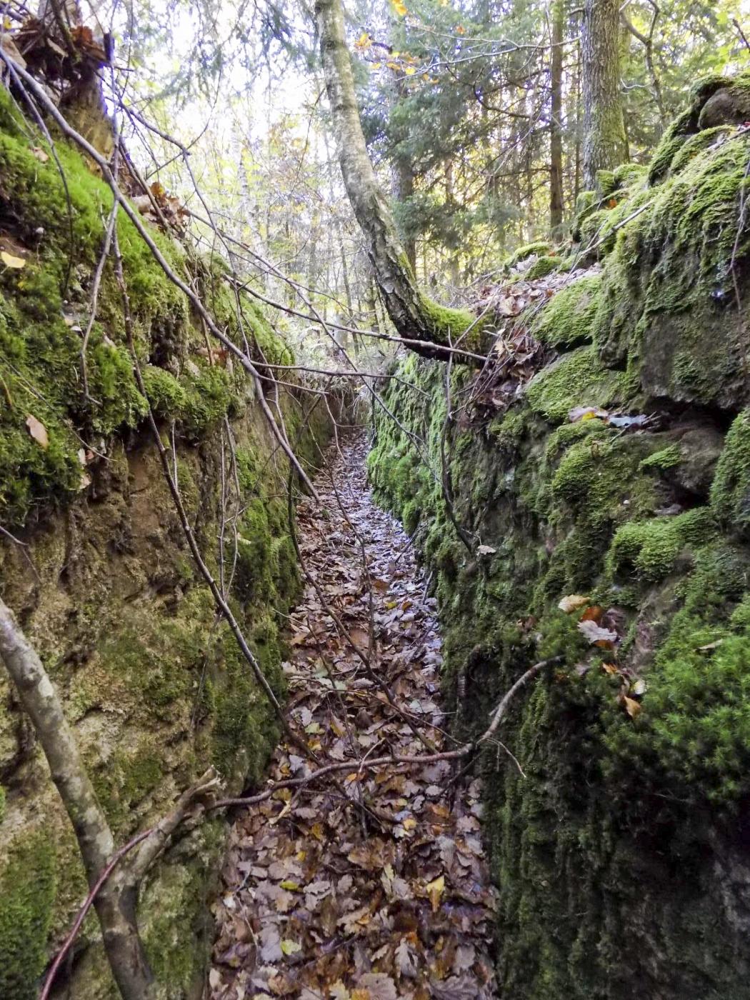 Ligne Maginot - BIESENBERG 1 - (Blockhaus pour arme infanterie) - Tranchée à l'arrière du blockhaus - luc.j