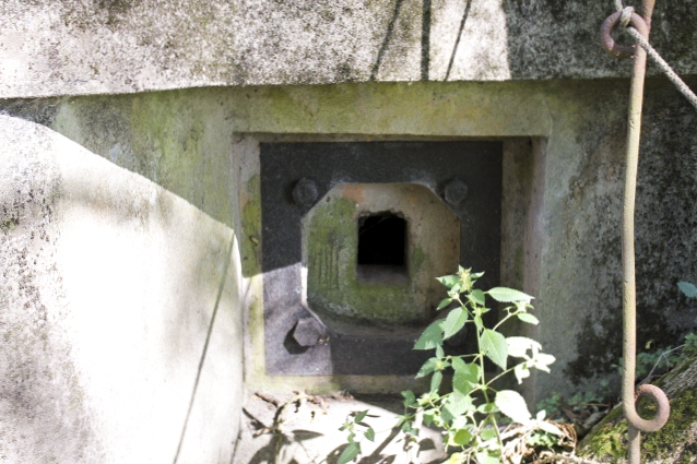 Ligne Maginot - HERBITZHEIM  1 - (Blockhaus pour arme infanterie) - Créneau fusil mitrailleur - Christian LENHARD