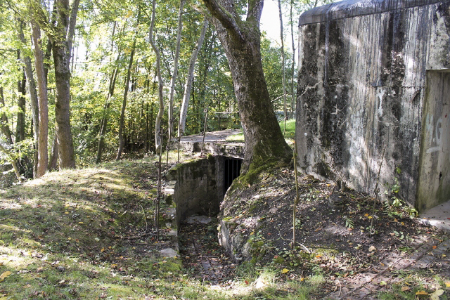 Ligne Maginot - HERBITZHEIM 1bis - L'accès à la galerie de liaison du bloc - Christian LENHARD