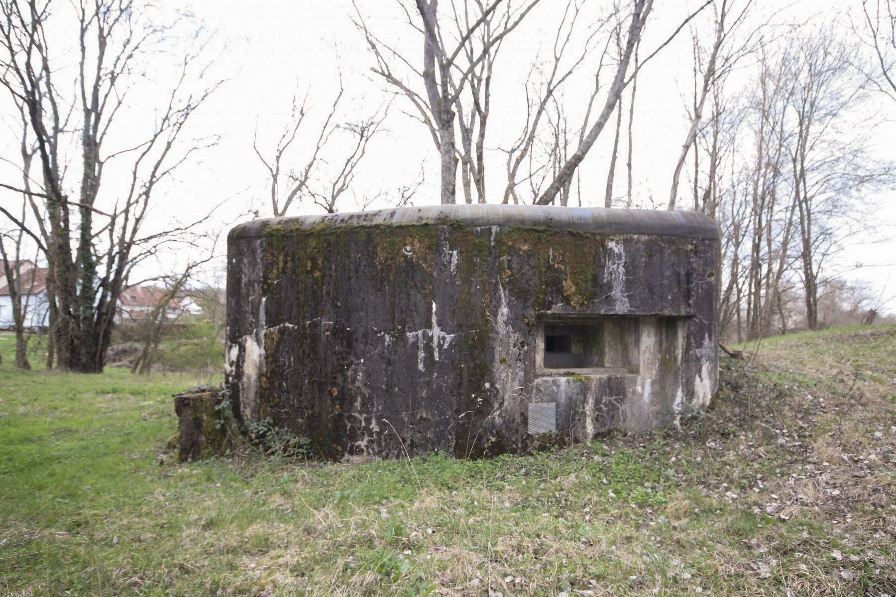 Ligne Maginot - HERBITZHEIM  1 - (Blockhaus pour arme infanterie) -  - Les Bergers des Pierres_Michel & Philippe ZIMMER