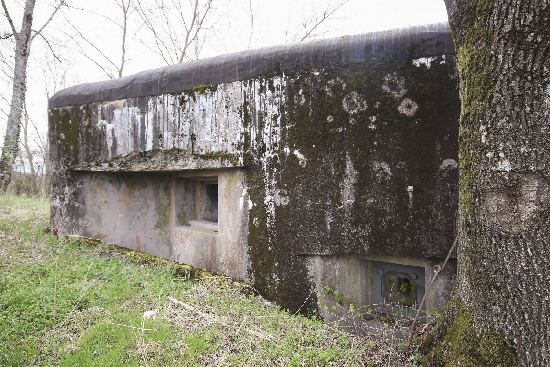 Ligne Maginot - HERBITZHEIM  1 - (Blockhaus pour arme infanterie) -  - Les Bergers des Pierres_Michel & Philippe ZIMMER