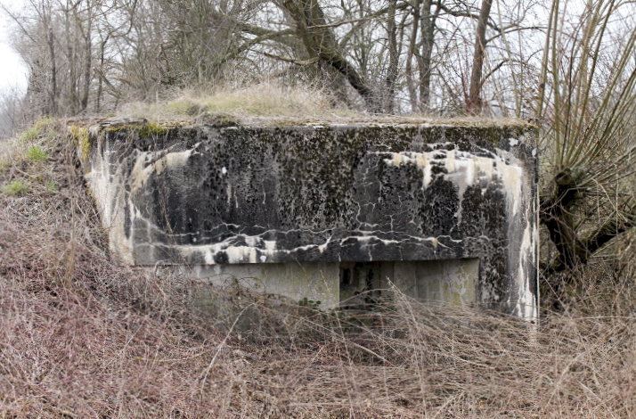 Ligne Maginot - HERBITZHEIM  3 - (Blockhaus pour arme infanterie) - Créneau Est - Christian LENHARD