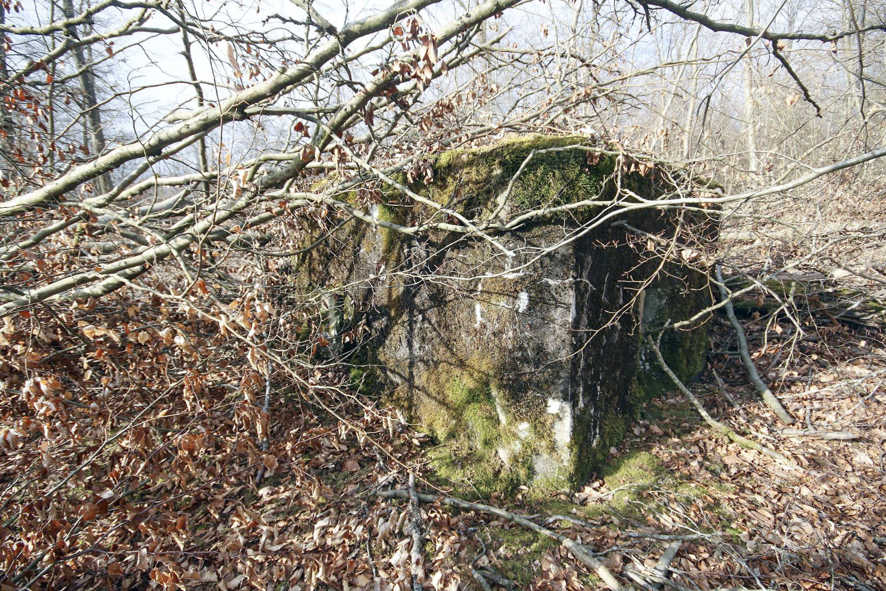 Ligne Maginot - KISSWALD 3 - (Blockhaus pour arme infanterie) -  - Les Bergers des Pierres_Michel & Philippe ZIMMER