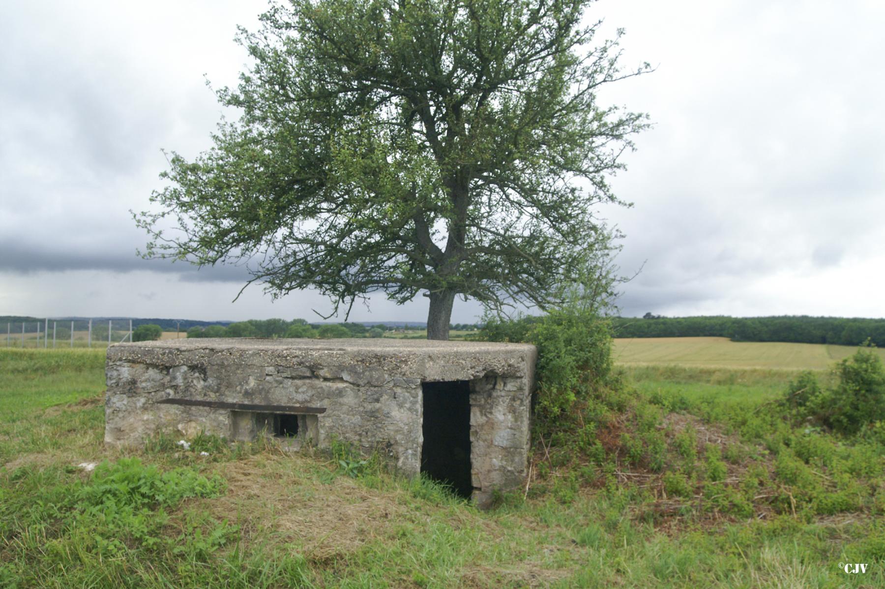 Ligne Maginot - KNOPP 1 (Blockhaus pour arme infanterie) -  - Lia VERMEULEN