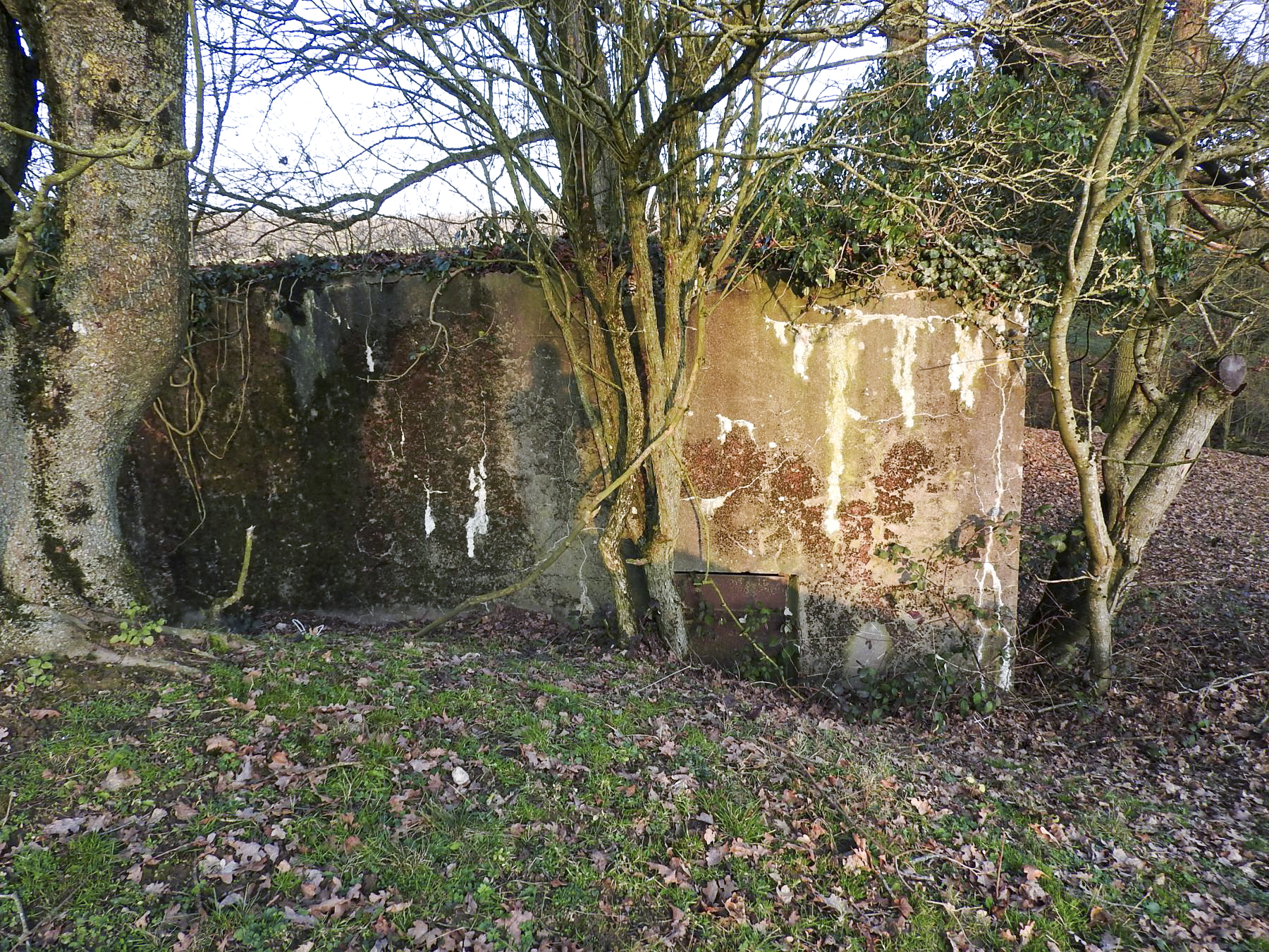 Ligne Maginot - AB29-C - BOIS DU CASTEL - (Blockhaus pour canon) - La façade avec l'entrée des hommes. - STENGER Mathieu