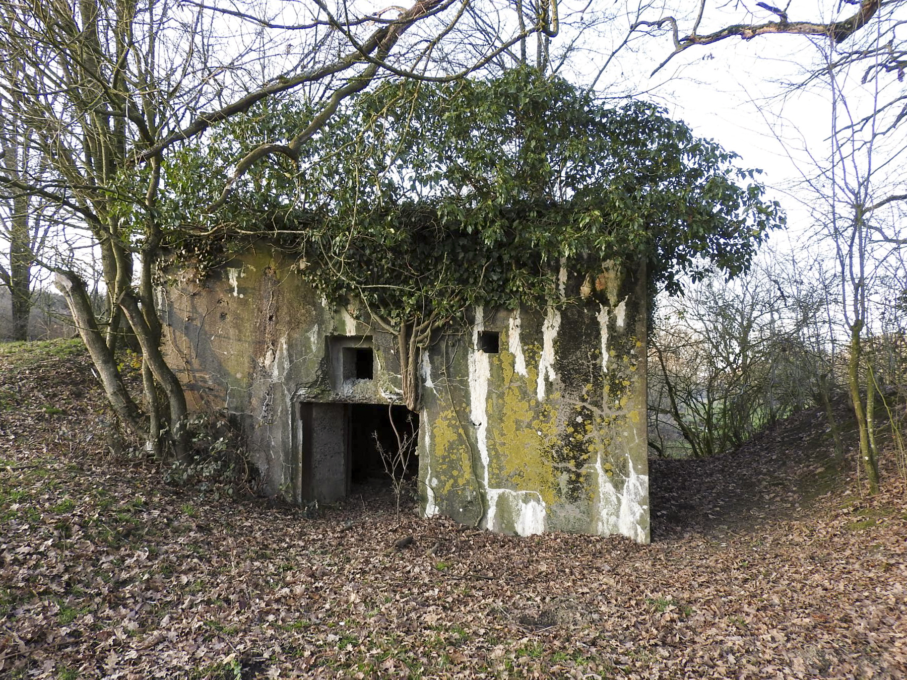 Ligne Maginot - AB29-C - BOIS DU CASTEL - (Blockhaus pour canon) - L'entrée du canon anti-char. - STENGER Mathieu