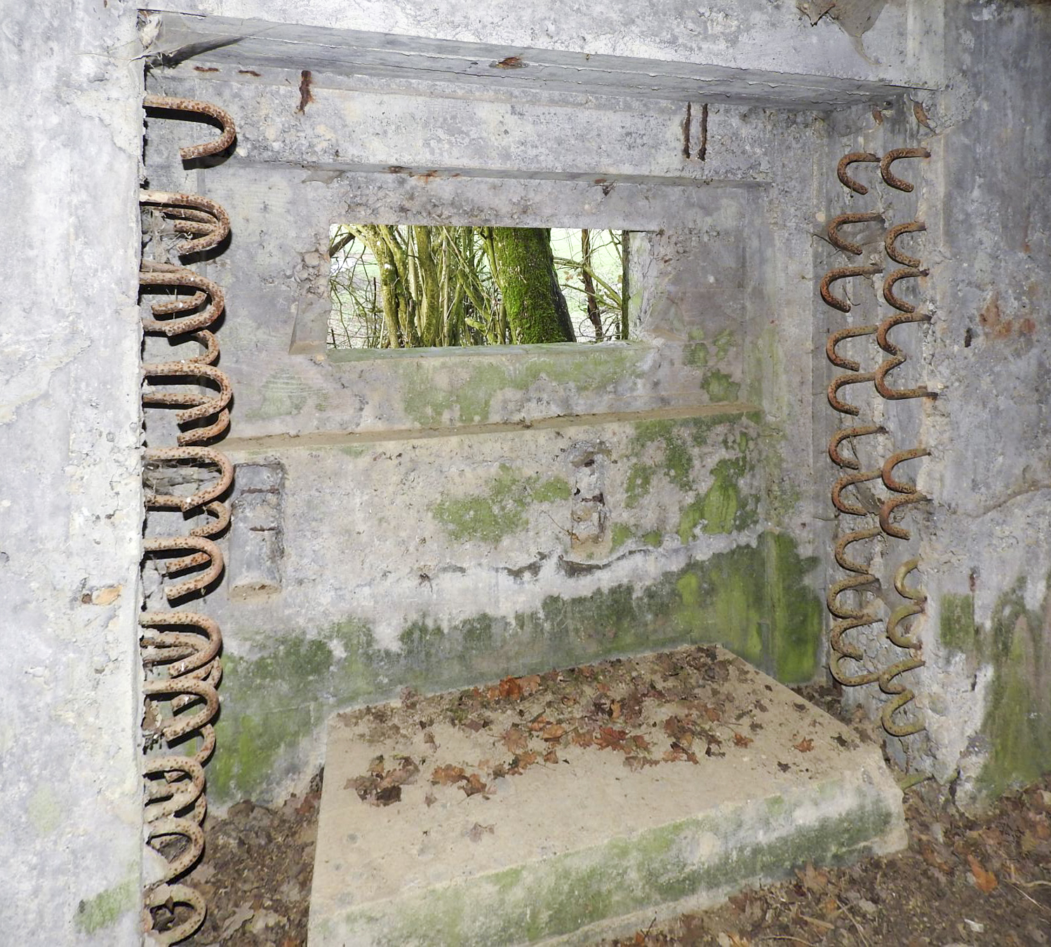 Ligne Maginot - AB29-C - BOIS DU CASTEL - (Blockhaus pour canon) - Le créneau sans son cuirassement. - STENGER Mathieu