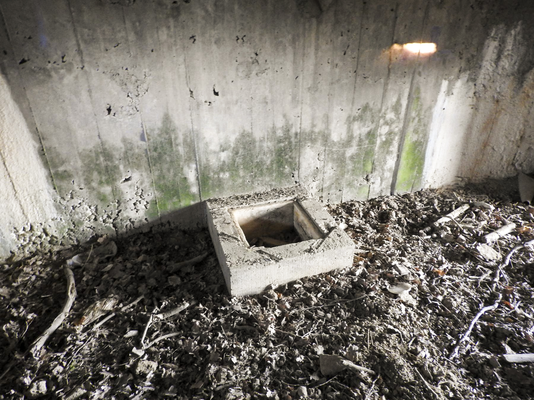 Ligne Maginot - AB29-C - BOIS DU CASTEL - (Blockhaus pour canon) - L'un des plots de bloquage du canon. - STENGER Mathieu