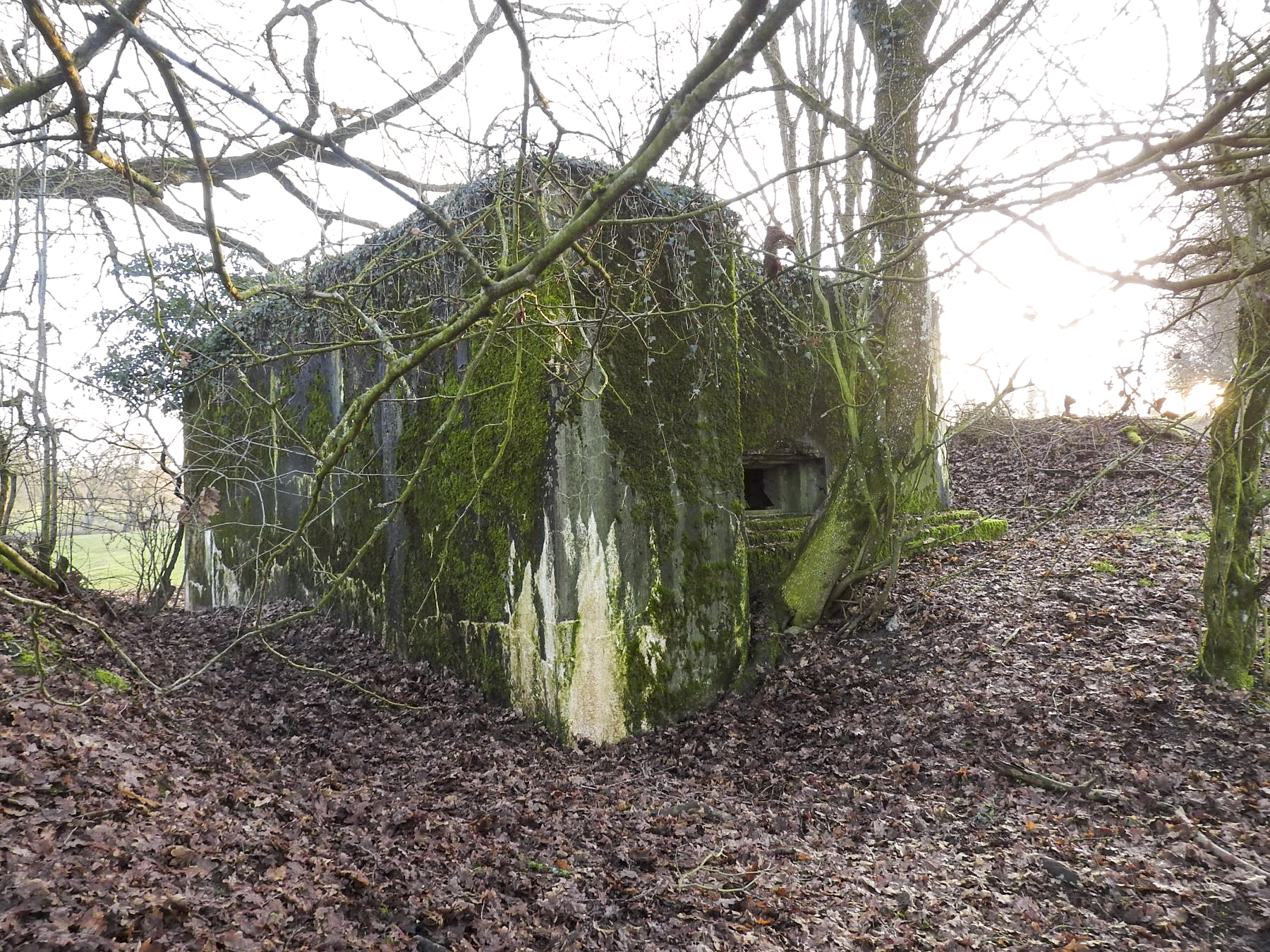 Ligne Maginot - AB29-C - BOIS DU CASTEL - (Blockhaus pour canon) - La façade de tir du blockhaus. - STENGER Mathieu