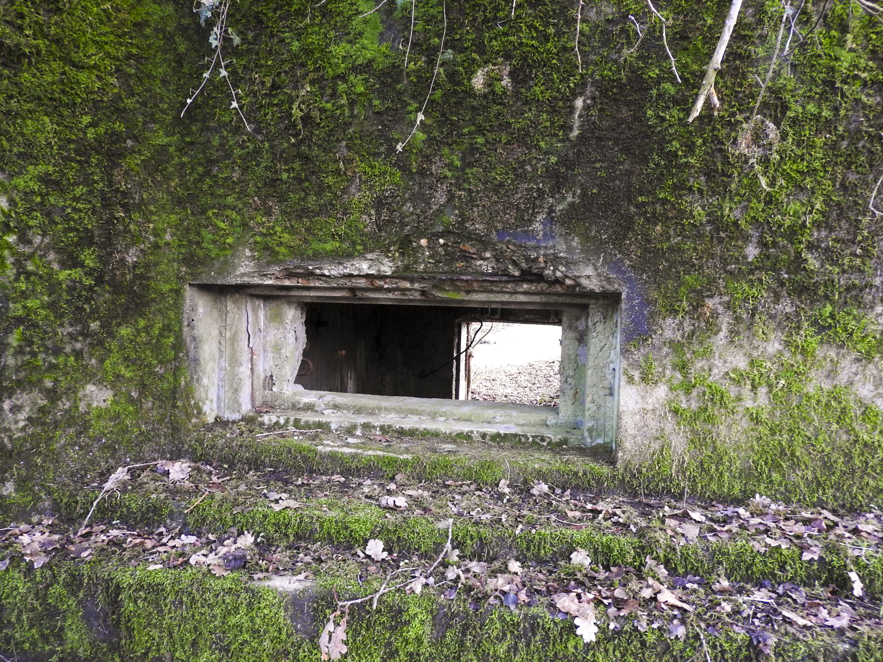Ligne Maginot - AB29-C - BOIS DU CASTEL - (Blockhaus pour canon) - L'embrasure de tir du canon. - STENGER Mathieu