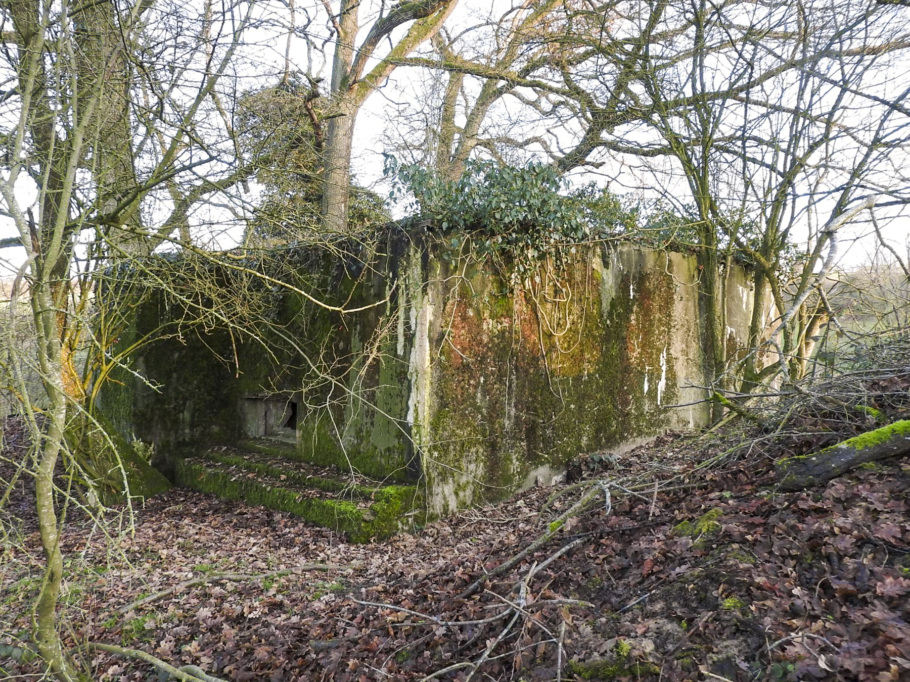 Ligne Maginot - AB29-C - BOIS DU CASTEL - (Blockhaus pour canon) - La façade de tir. - STENGER Mathieu