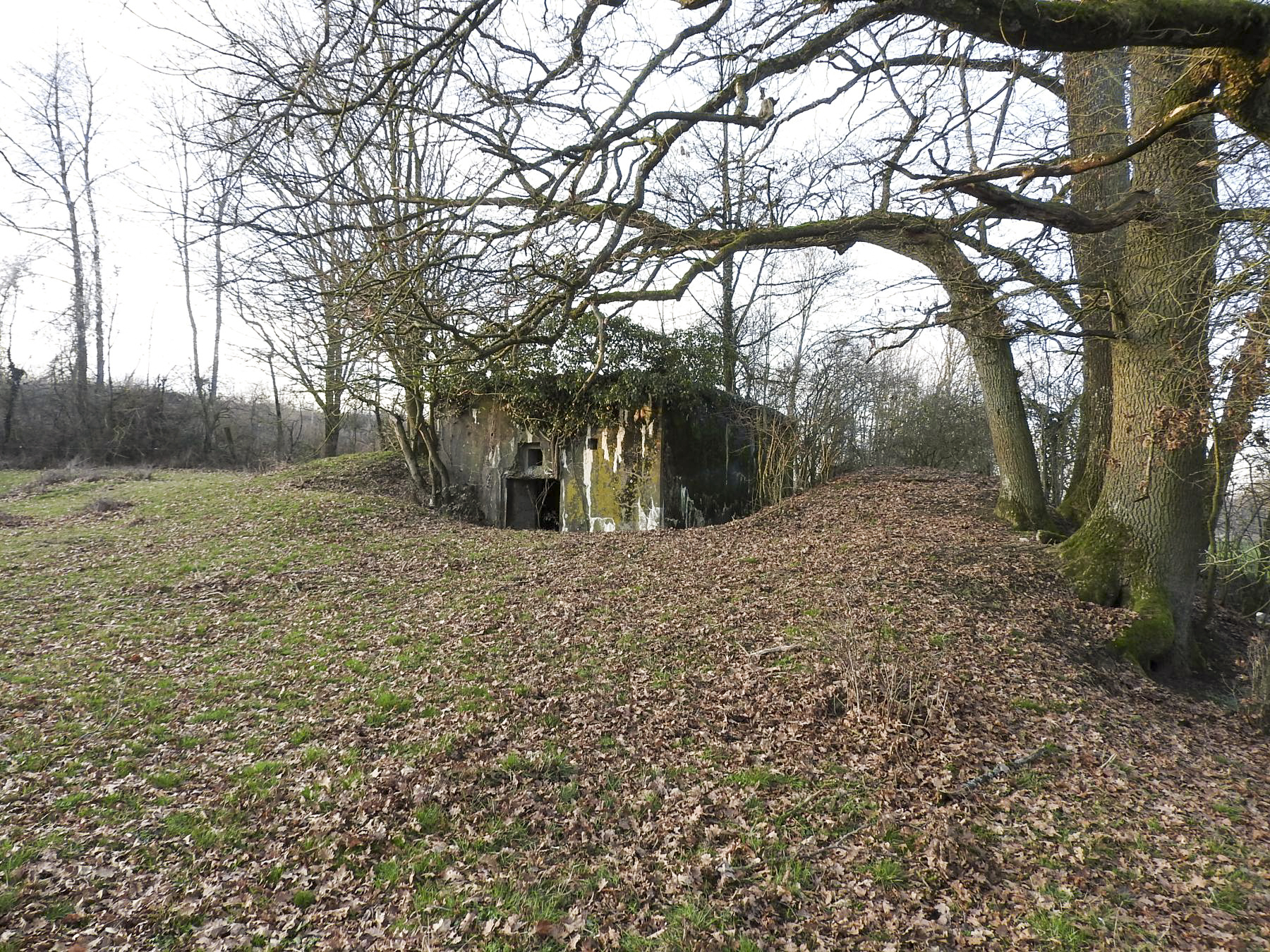 Ligne Maginot - AB29-C - BOIS DU CASTEL - (Blockhaus pour canon) -  - STENGER Mathieu
