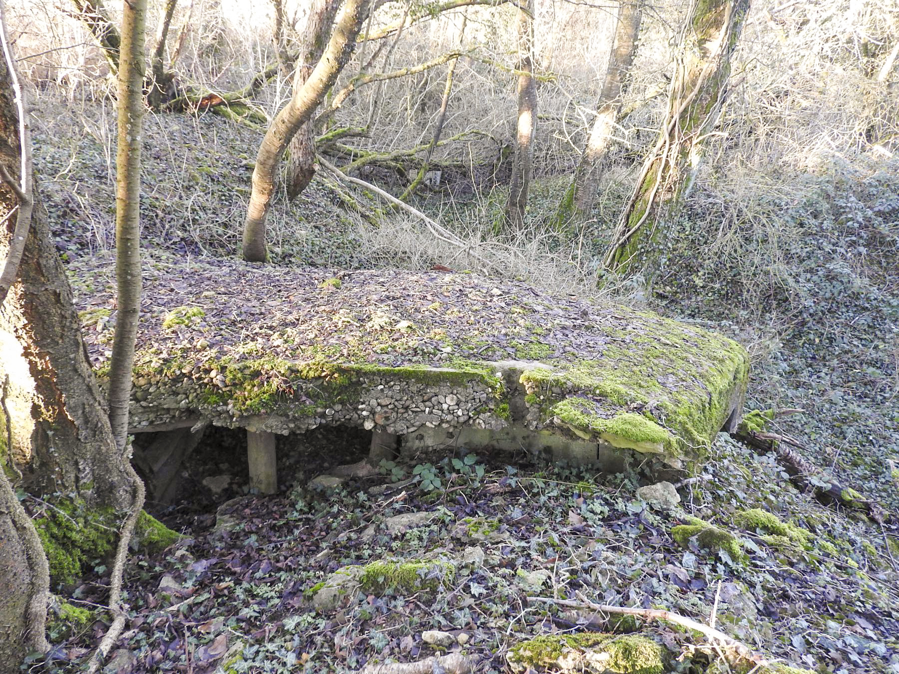 Ligne Maginot - KLEIBORN 3 - (Blockhaus pour arme infanterie) -  - STENGER Mathieu