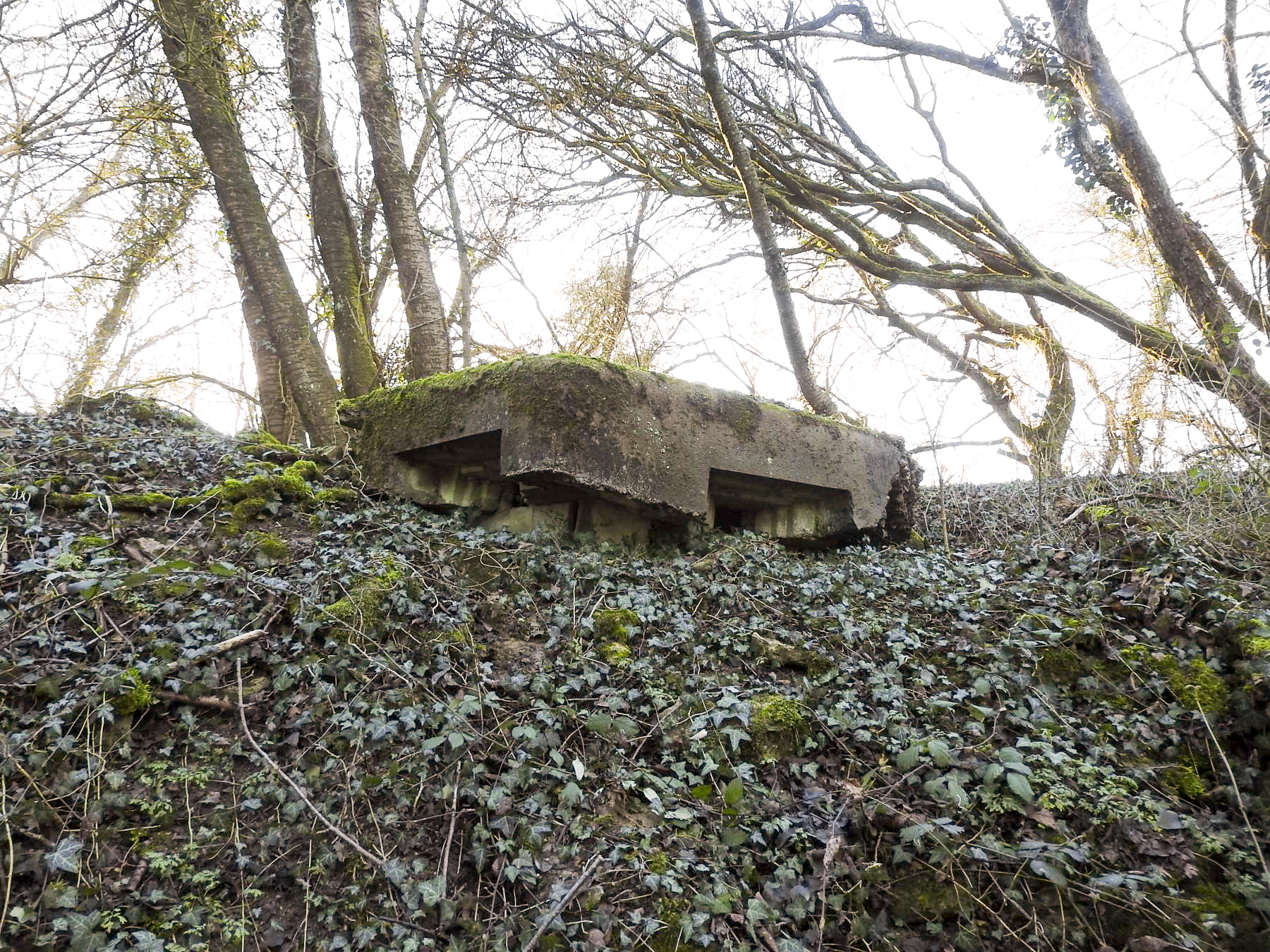 Ligne Maginot - KLEIBORN 3 - (Blockhaus pour arme infanterie) - La façade avant et ses deux créneaux. - STENGER Mathieu