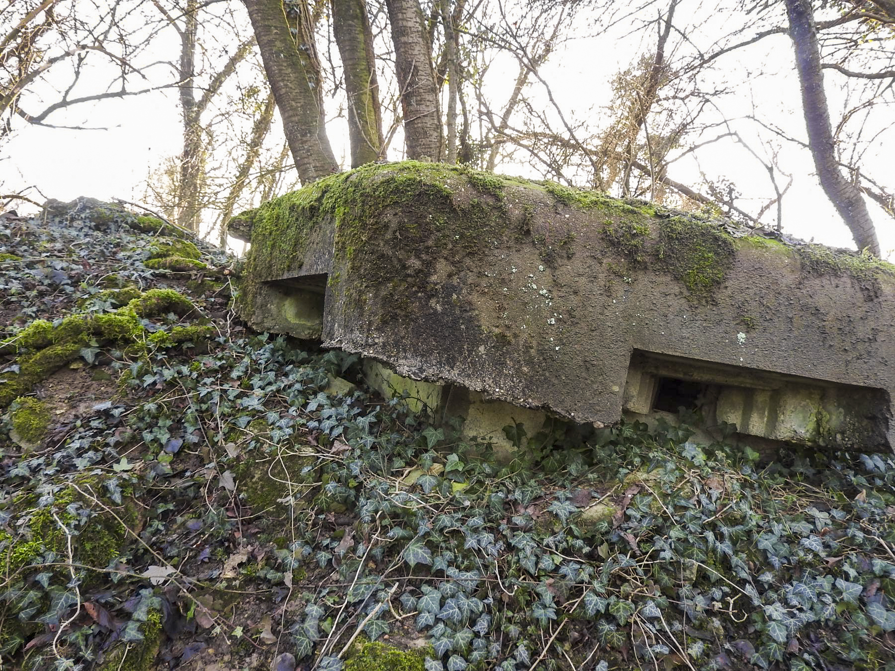 Ligne Maginot - KLEIBORN 3 - (Blockhaus pour arme infanterie) - La façade avant et ses deux créneaux. - STENGER Mathieu