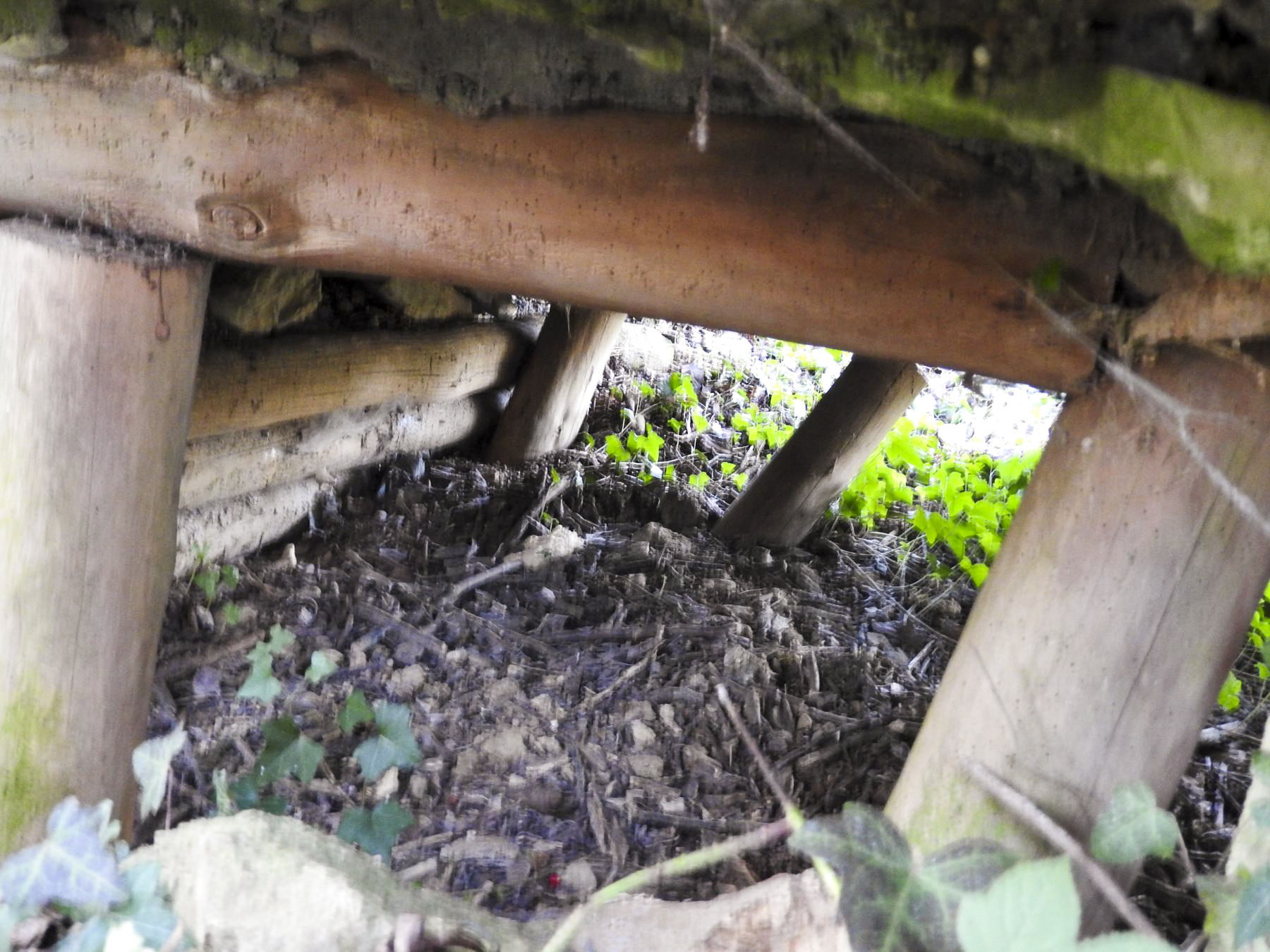 Ligne Maginot - KLEIBORN 3 - (Blockhaus pour arme infanterie) - La structure en rondins du blockhaus. - STENGER Mathieu