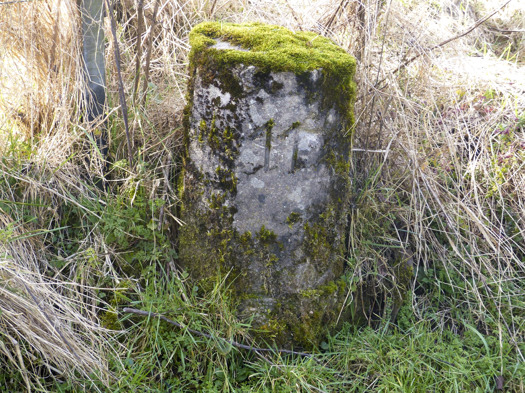 Ligne Maginot - SAINT ANTOINE - (Casemate d'infanterie - double) - Borne de délimitation de l'emprise militaire ( chemin menant à Fresnois) - David Harmand