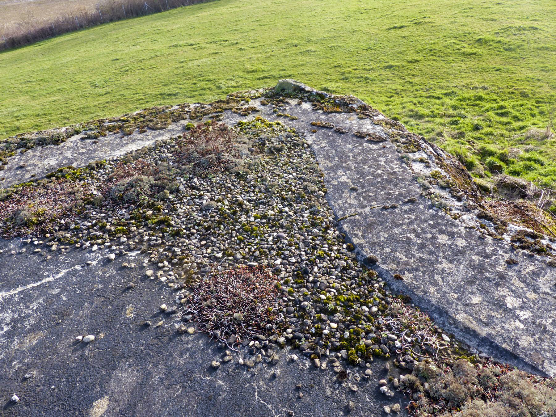 Ligne Maginot - SAINT ANTOINE - (Casemate d'infanterie - double) - Reliquat des graviers placés sur le sommet de la casemate et permettant un meilleur drainage de l'eau vers la gouttière de collecte des eaux de pluie. - David Harmand