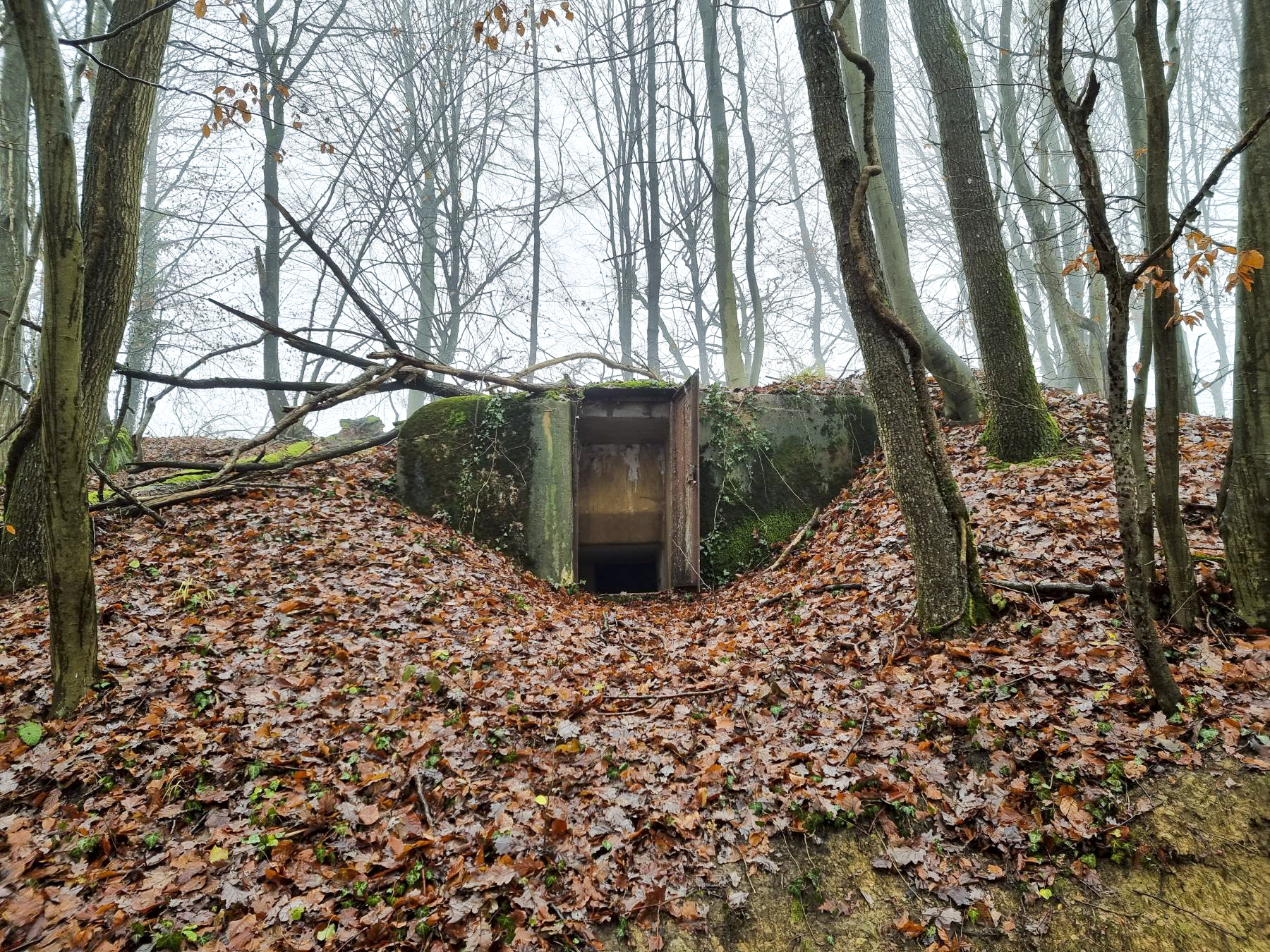 Ligne Maginot - 21M - (Chambre de coupure) - Vue d'ensemble de la chambre de coupure, construite à flanc de colline. - DK_Antoine4