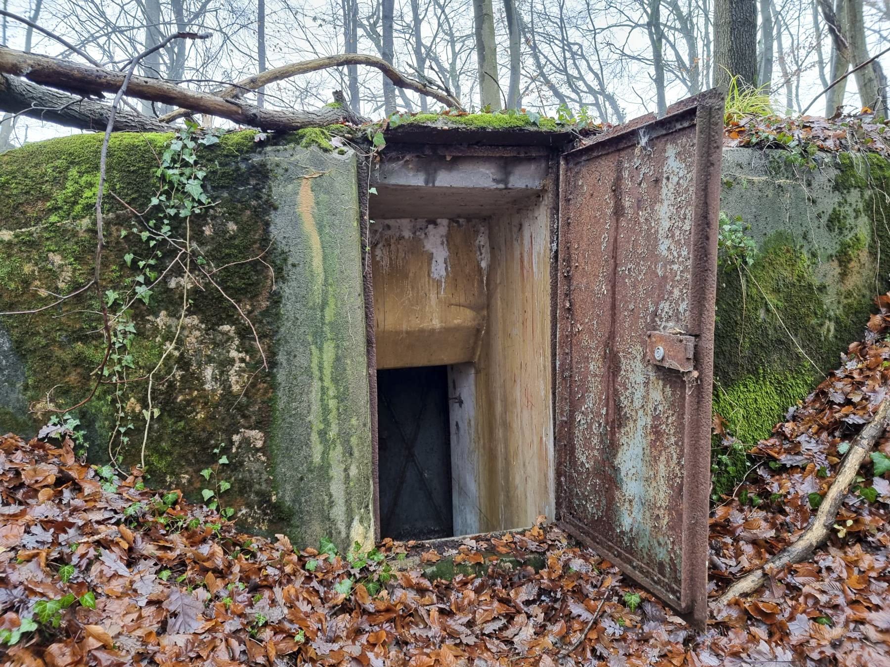 Ligne Maginot - 21M - (Chambre de coupure) - Accès à la chambre de coupure, porte métallique extérieure. (type B2, accès de plain pied) - DK_Antoine4
