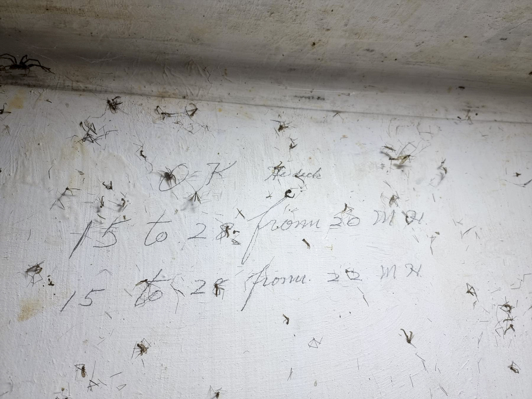 Ligne Maginot - 21M - (Chambre de coupure) - D'étonnantes inscriptions en anglais. Tentative d'utilisation du réseau téléphonique par les américains ? - DK_Antoine4