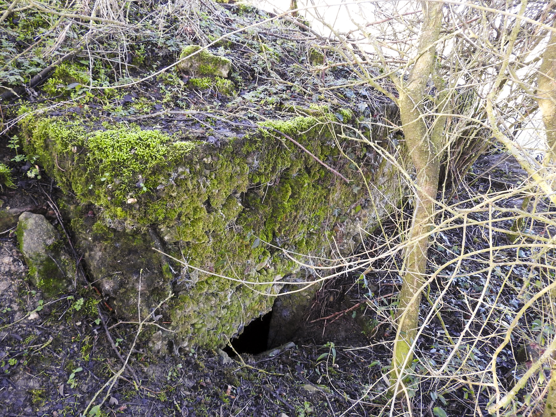 Ligne Maginot - DORRWIESE 1 - (Abri) - L'entrée du blockhaus. - STENGER Mathieu